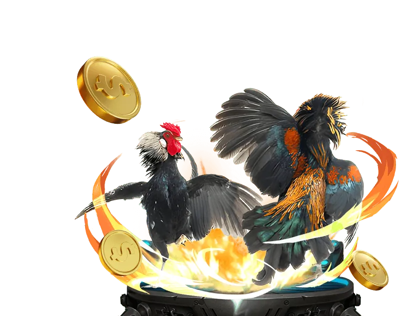 Hướng dẫn chơi cơ bản letou casino