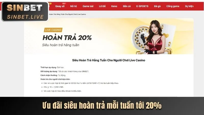 Hướng dẫn Casino Trực Tuyến